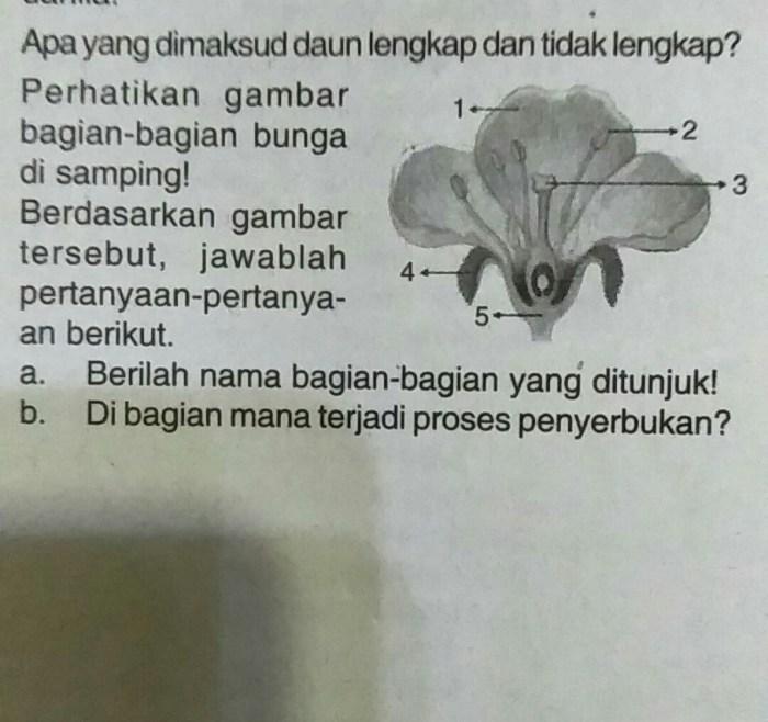 116a25b6f6e28ed