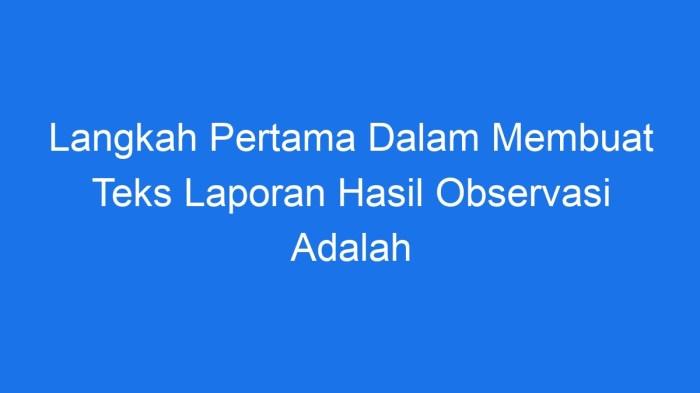 116a25b83518d9e