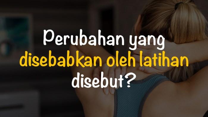 116a25b843a45d8