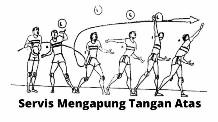 116a25b88faf486