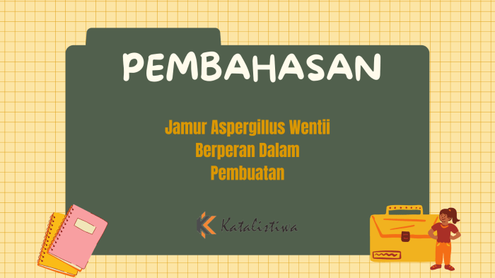 116a25b8bd9953b