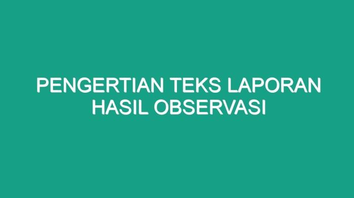116a25b8faa66c2
