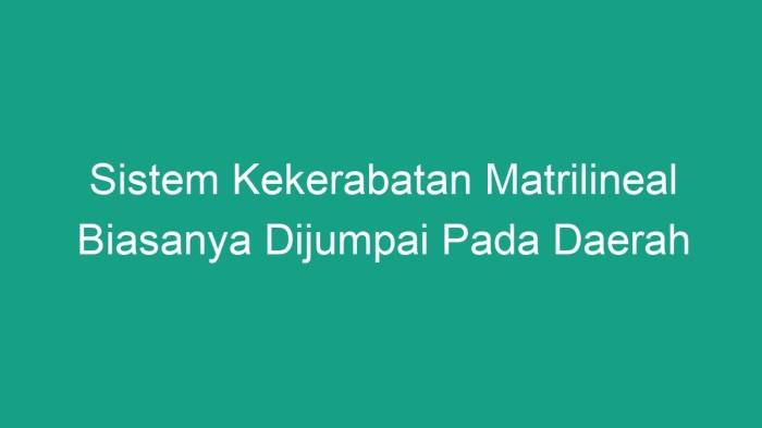116a25b90472664