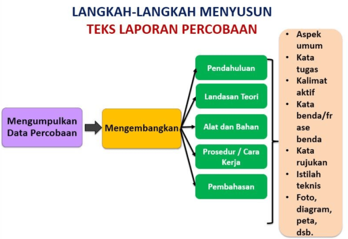 116a25b96c9b16d