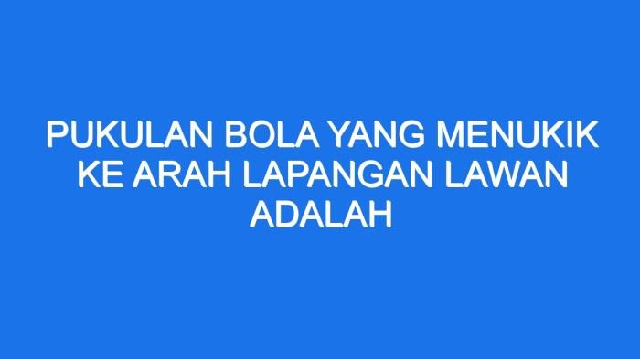 116a25b9b22f4fe