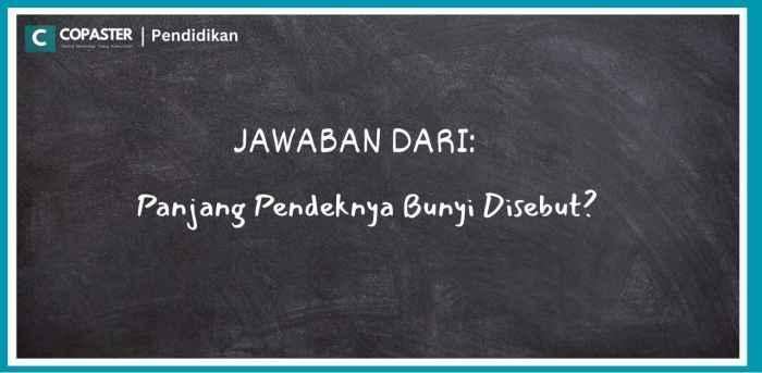 116a25ba1c52e13