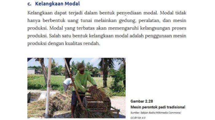 116a25ba29beb18