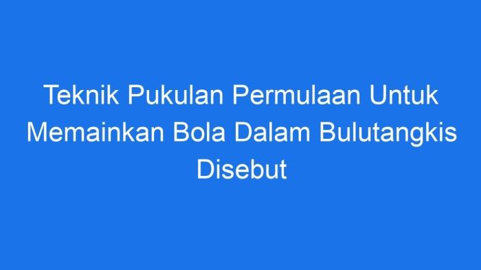 116a25bb1a0c13d