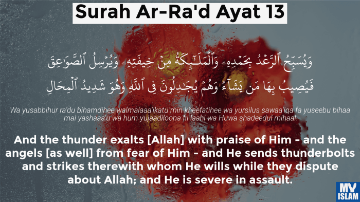 116a25bb2e552ad