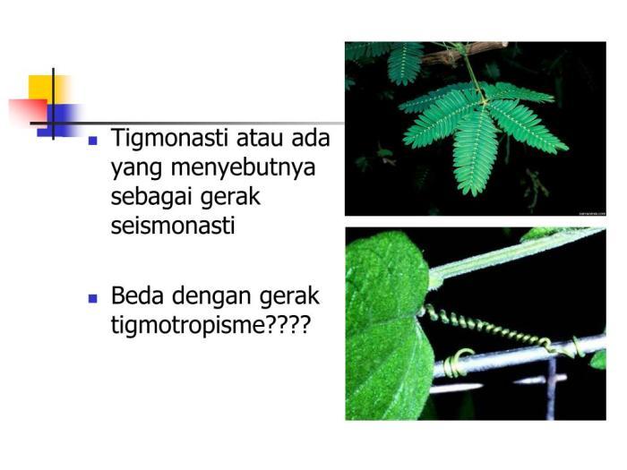 116a25bb7f59bca