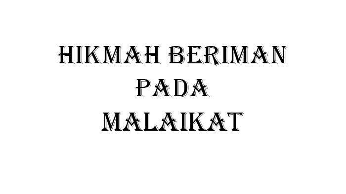 116a25bba41e986