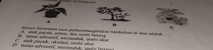 116a25bbdb1c3fc