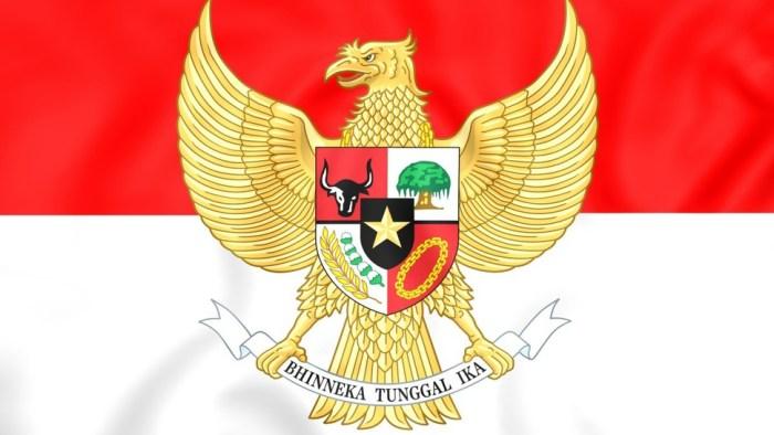 116a25bbef39703