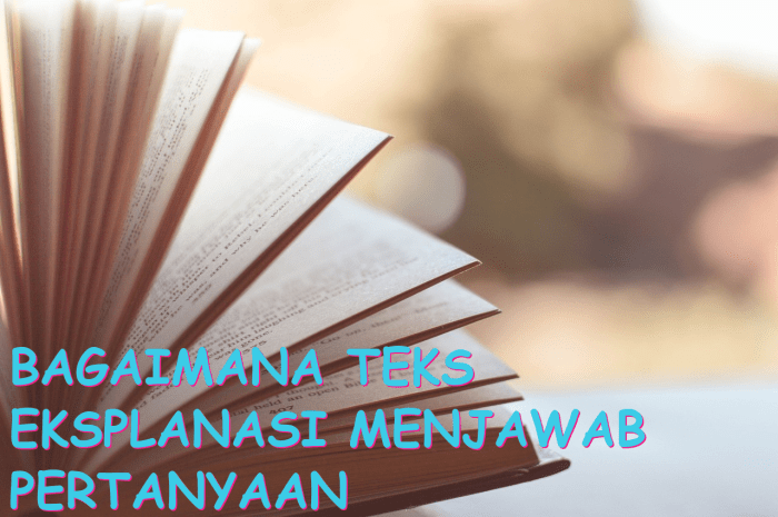 116a25bc1aa70a0