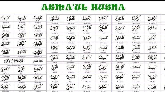 116a25be51b89a6