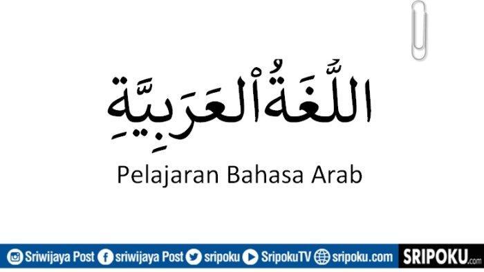 116a25be8bc787b