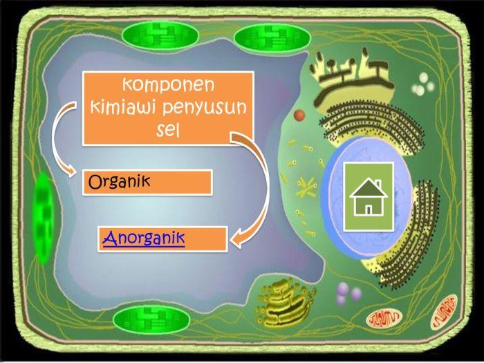 116a25c04895346