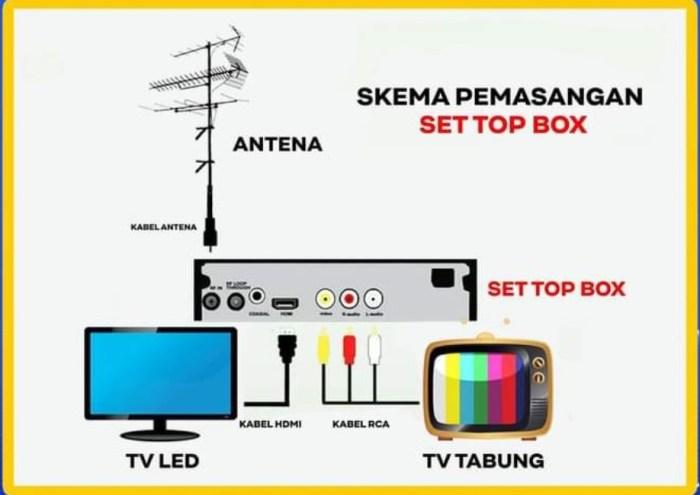 116a25c32383787