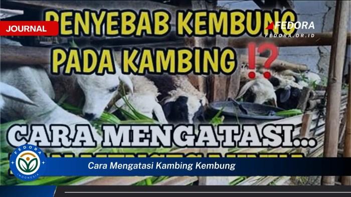 116a25c49904477