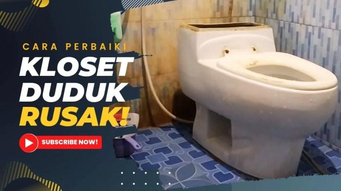 Cara Memperbaiki Pelampung Toilet Duduk: Panduan Langkah demi Langkah 2 116a25c6d56dc06