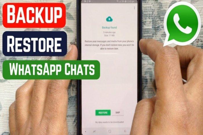 Cara Memulihkan Data WhatsApp yang Terhapus: Panduan Langkah Demi Langkah 1 116a25c7627c0b7
