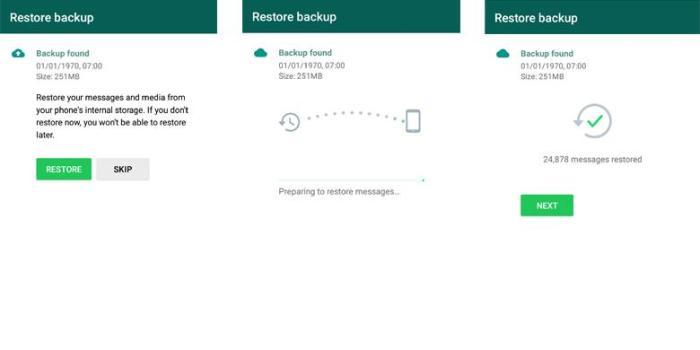 Cara Memulihkan Data WhatsApp yang Terhapus: Panduan Langkah Demi Langkah 2 116a25c762d3841
