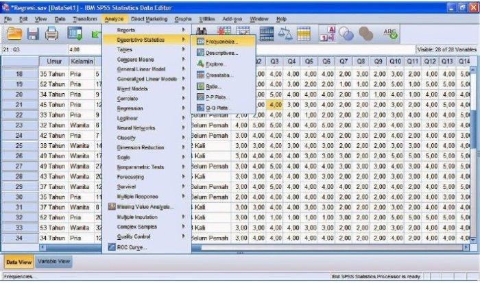Cara Coding Data Kuesioner: Panduan Langkah demi Langkah 2 116a25c84ad590b
