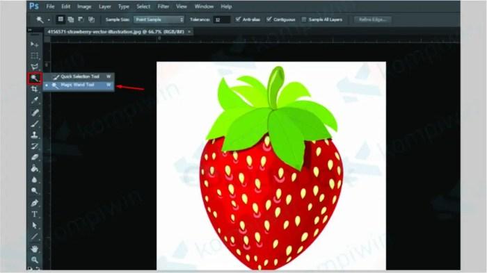 Cara Gunakan Pen Tool di Photoshop: Panduan Lengkap 2 116a25c8eedd3ce