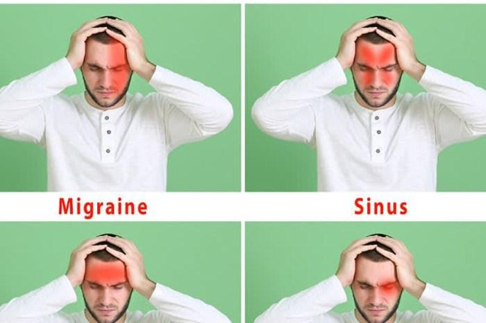 116a25c9e63799a