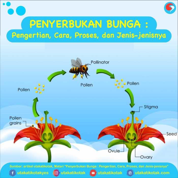116a25c9f5789c9