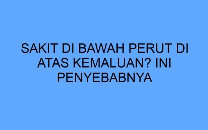 116a25ca106f9a1