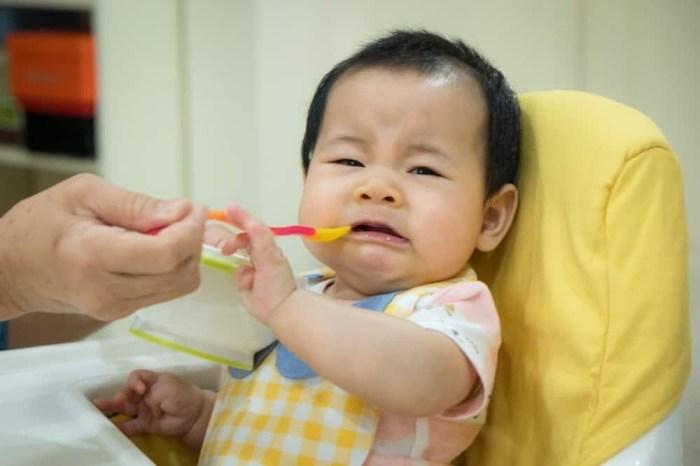 Cara Mengatasi Bayi 9 Bulan Susah Makan: Panduan untuk Orang Tua 1 116a25ca17bb43d