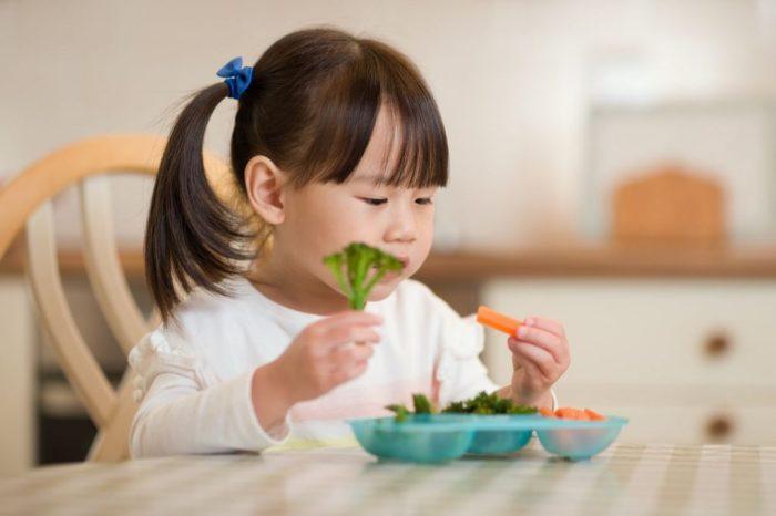 Cara Menciptakan Kebiasaan Makan Sehat pada Anak 1 116a25ca2415223