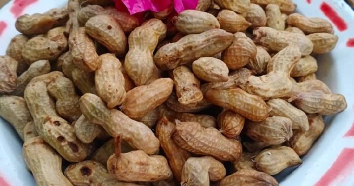 Cara Merebus Kacang Tanah: Panduan Lengkap untuk Camilan Gurih 1 116a25caee1c517