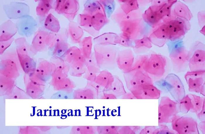 Cara Mengobati Sel Epitel: Panduan Komprehensif 1 116a25cb209ccdd