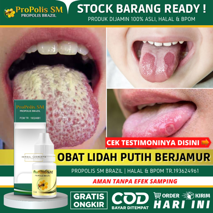 116a25cb320bfa3