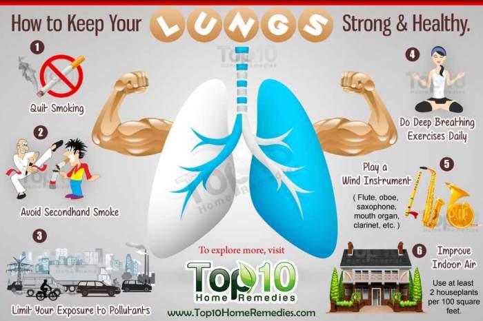 Panduan Lengkap Menjaga Kesehatan Organ Pernapasan 1 116a25ceb279b8a