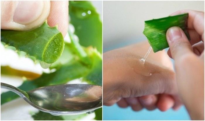 Cara Menggunakan Lidah Buaya untuk Wajah: Panduan Lengkap untuk Kulit Sehat 1 116a25ceb6b192d