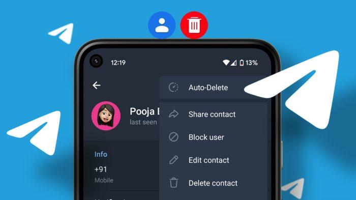 Hapus Kontak Telegram Sekaligus: Panduan Langkah demi Langkah 1 116a25cefb633a2