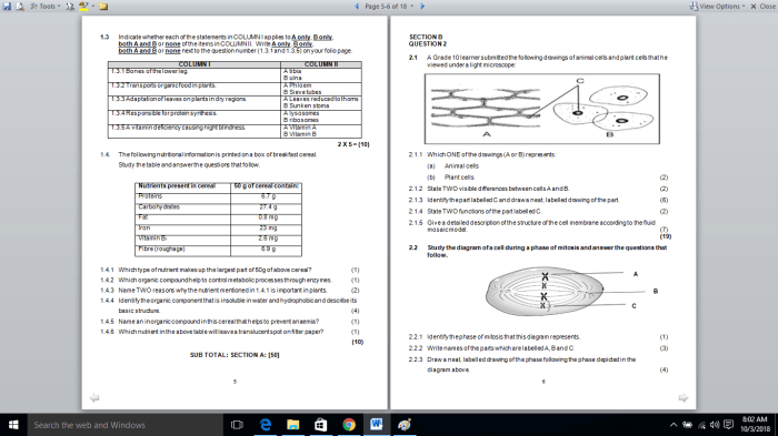 RPP 1 Lembar Kelas 3 Panduan Lengkap 1 116a25d0b14d1b9