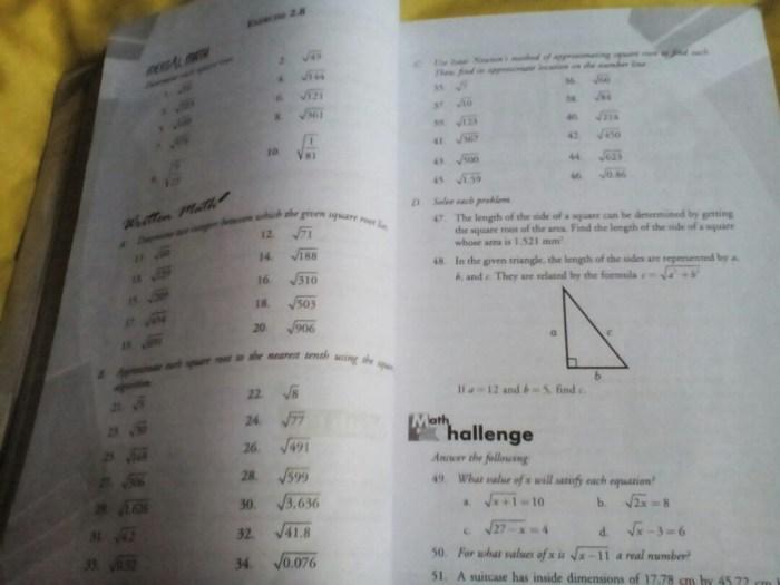 116a25d2a6e0217