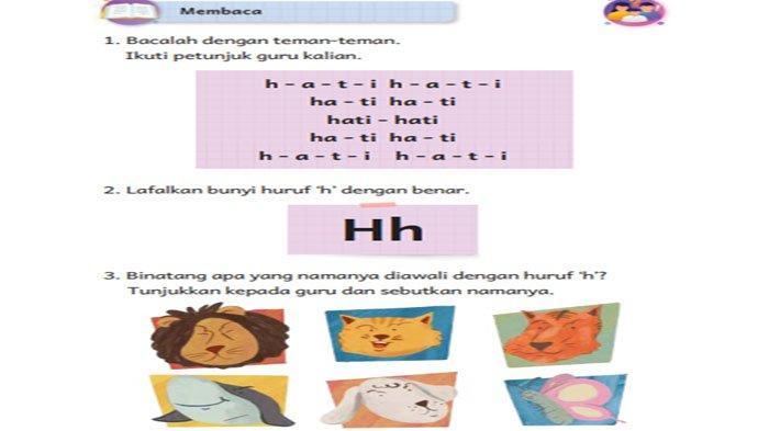 116a25d337a2875