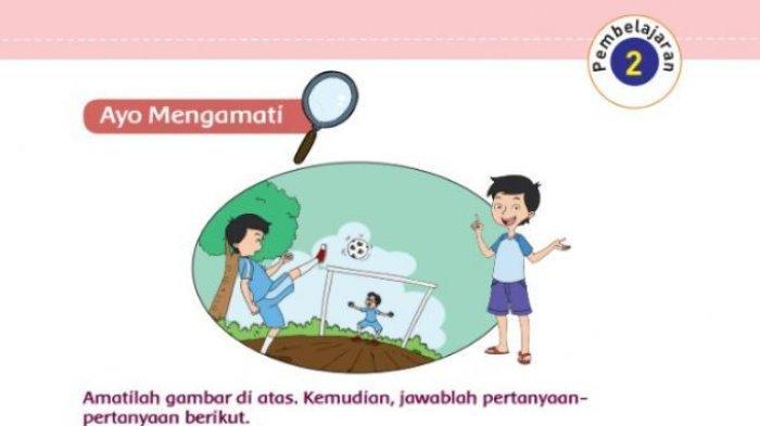 116a25d426a68d1