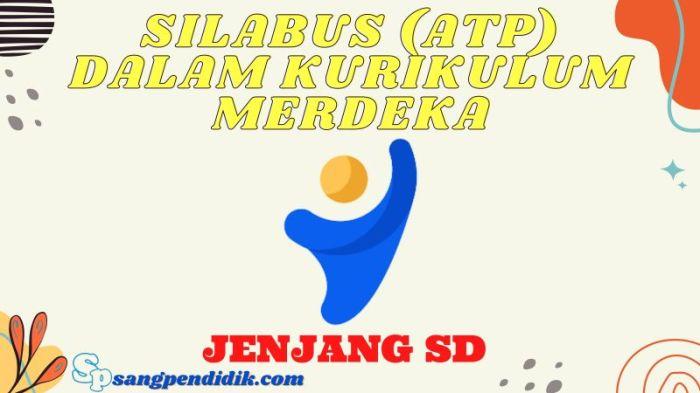 116a25d4d719956