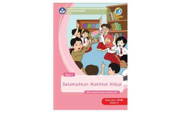 116a25d52a9a5f7