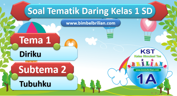 116a25d5df8cdd5