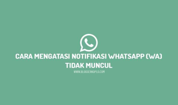 116a25da955890f