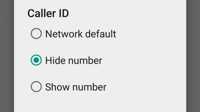 116a25dab977535