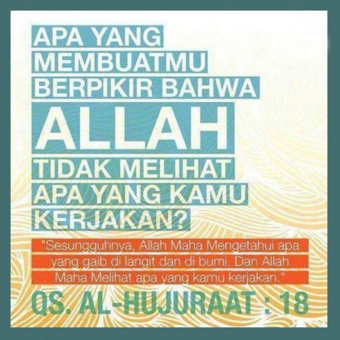 116a25dc26953b4