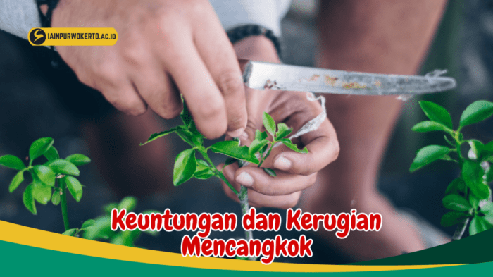116a25dc71e1b34
